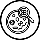 Kehidupan Mikroba